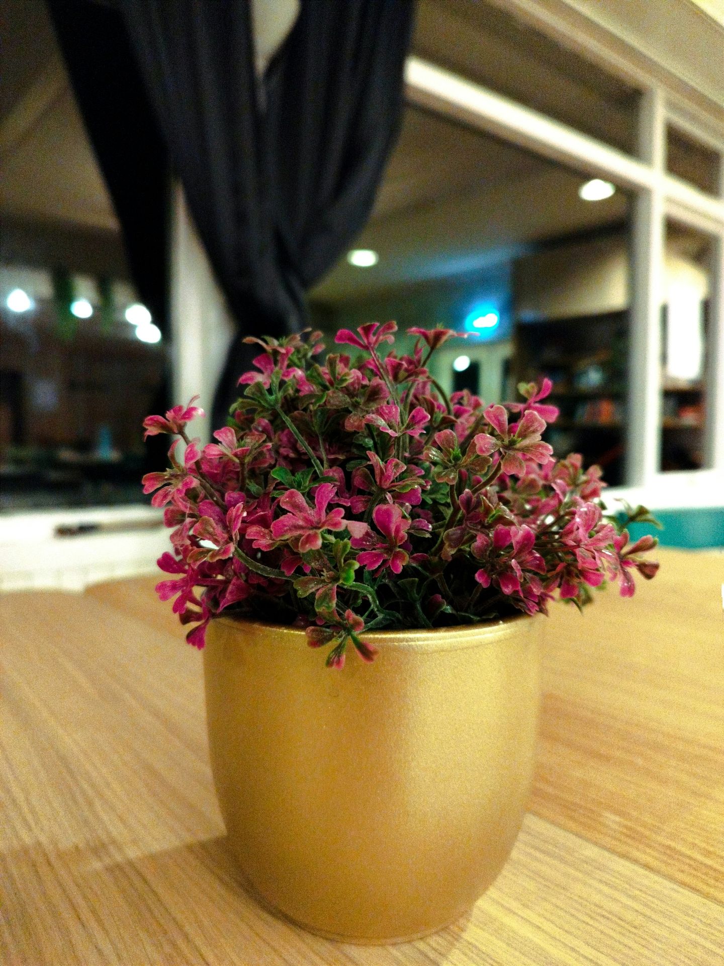 a potted plant sitting on top of a wooden table
